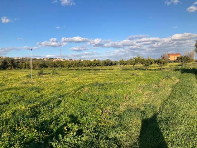 terreno agricolo in vendita a Sellia Marina