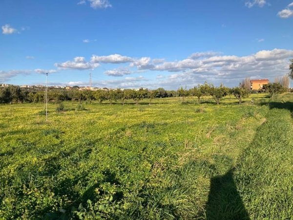 monolocale in vendita a Sellia Marina