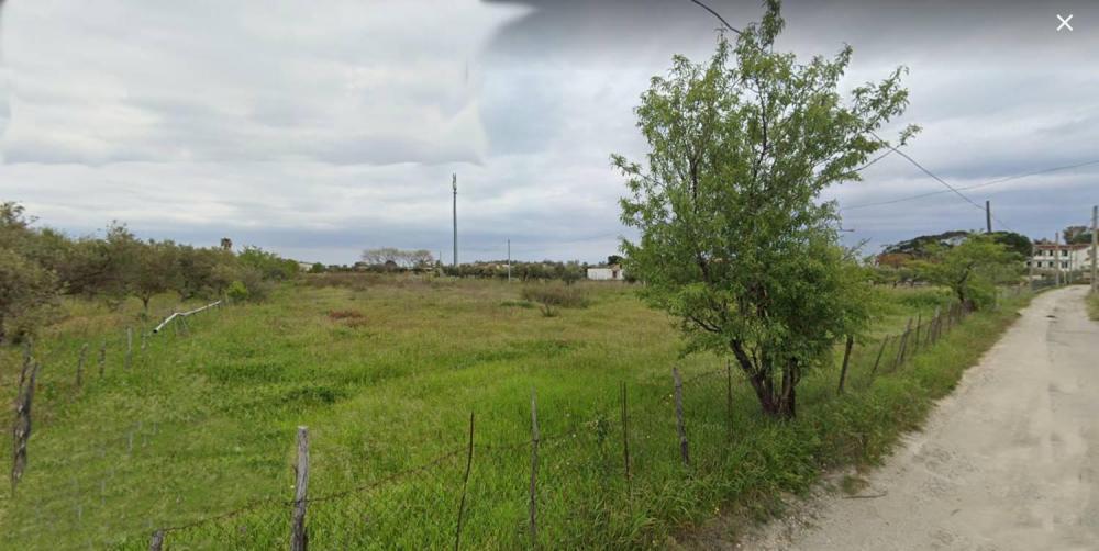 terreno agricolo in vendita a Sellia Marina