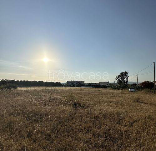 terreno agricolo in vendita a Sellia Marina