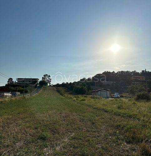 terreno agricolo in vendita a Sellia Marina