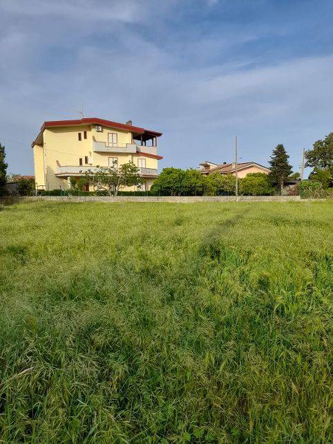 terreno agricolo in vendita a Sellia Marina