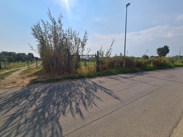 terreno agricolo in vendita a Sellia Marina