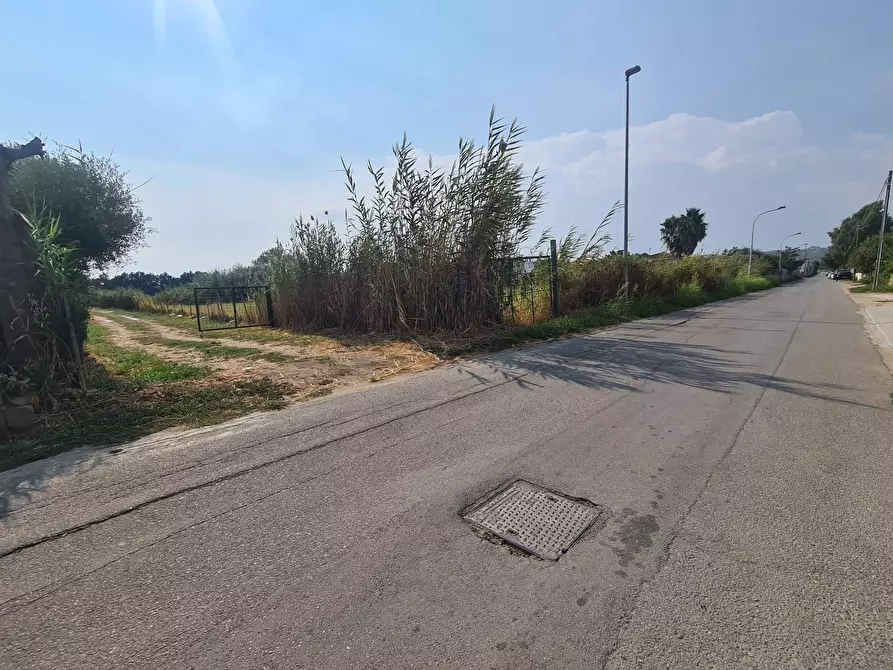 terreno agricolo in vendita a Sellia Marina