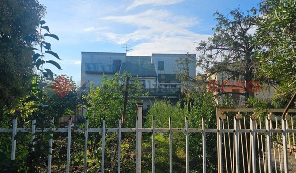 casa indipendente in vendita a Sellia Marina