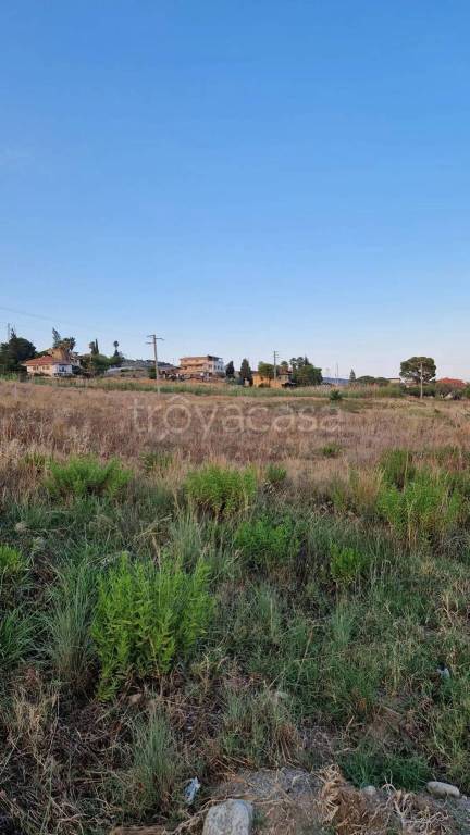 terreno agricolo in vendita a Sellia Marina