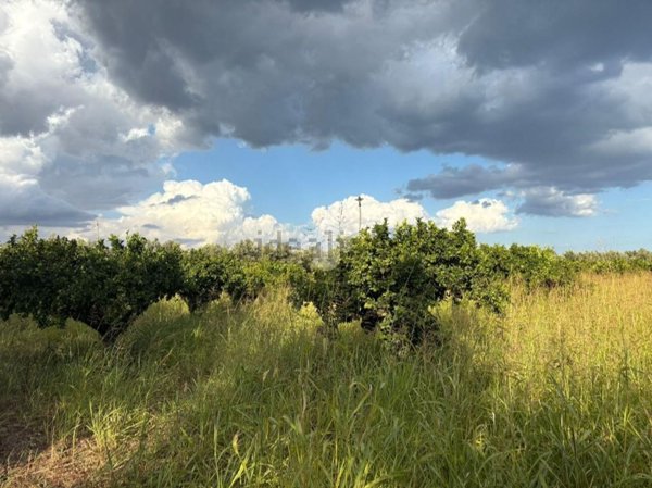 terreno agricolo in vendita a Sellia Marina