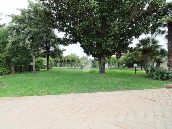 casa indipendente in vendita a Sellia Marina