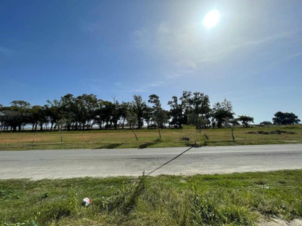 appartamento in vendita a Sellia Marina