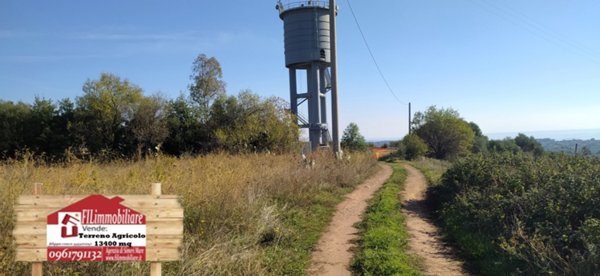 terreno agricolo in vendita a Sellia Marina