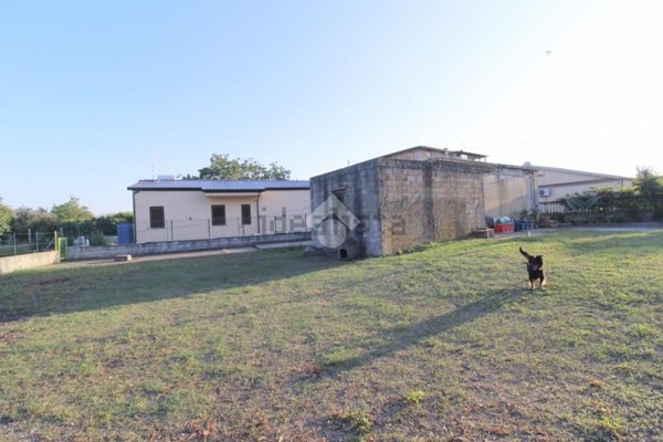 casa indipendente in vendita a Sellia Marina