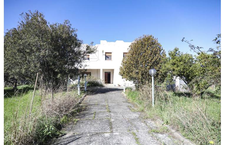 casa indipendente in vendita a Sellia Marina