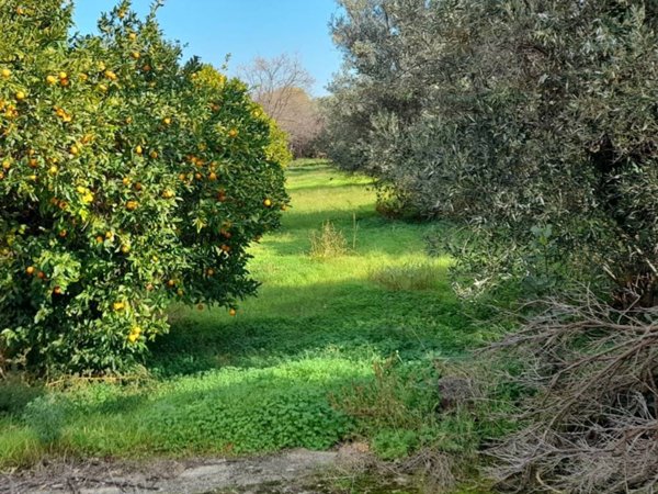 terreno in vendita a Sellia Marina
