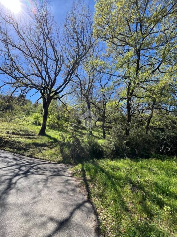 terreno agricolo in vendita a Serrastretta in zona Cancello