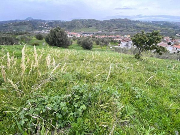 terreno agricolo in vendita a Settingiano in zona Martelletto