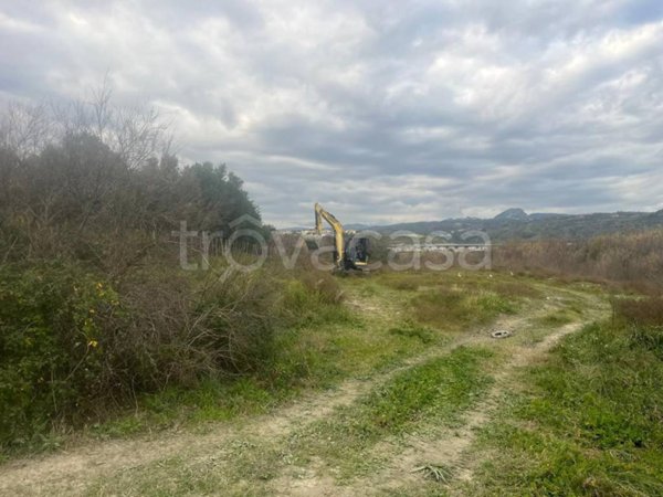 terreno agricolo in vendita a Settingiano in zona Martelletto
