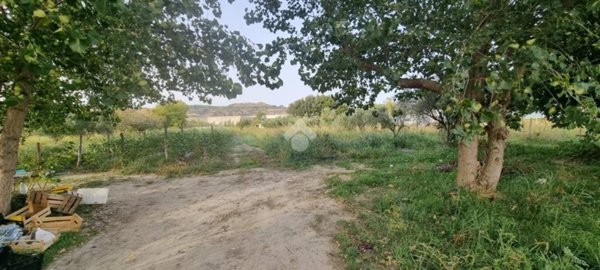 terreno agricolo in vendita a Settingiano in zona Martelletto