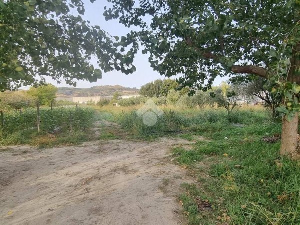 terreno agricolo in vendita a Settingiano in zona Martelletto