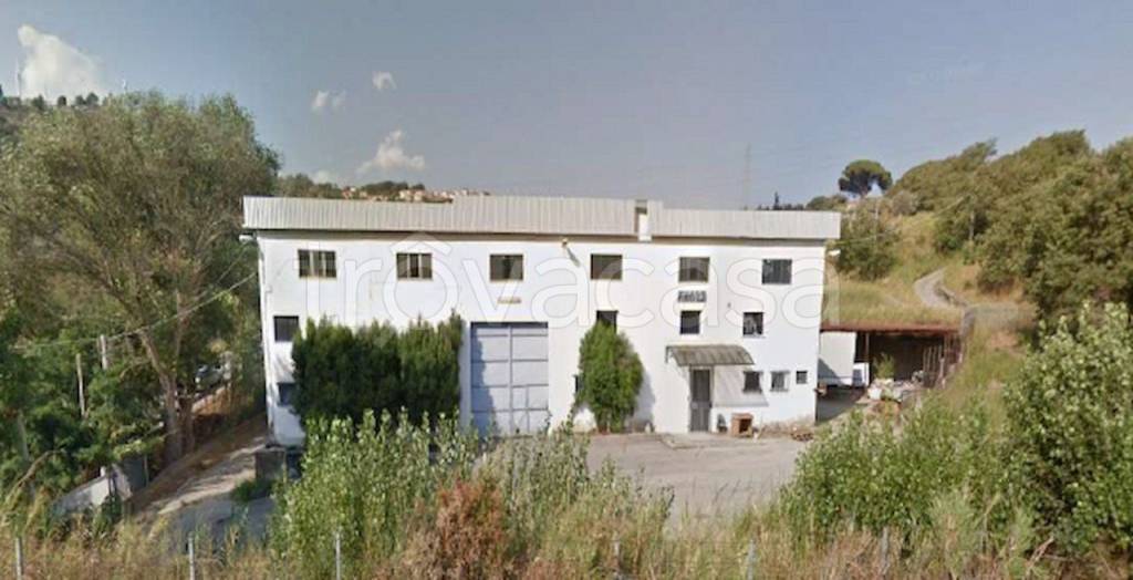 locale commerciale in vendita a Settingiano