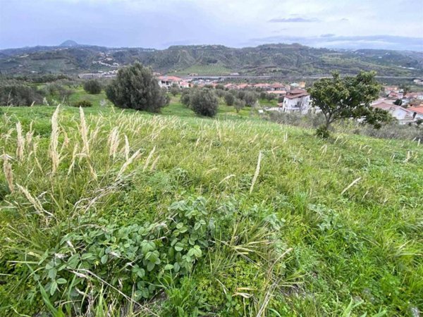 terreno agricolo in vendita a Settingiano in zona Martelletto