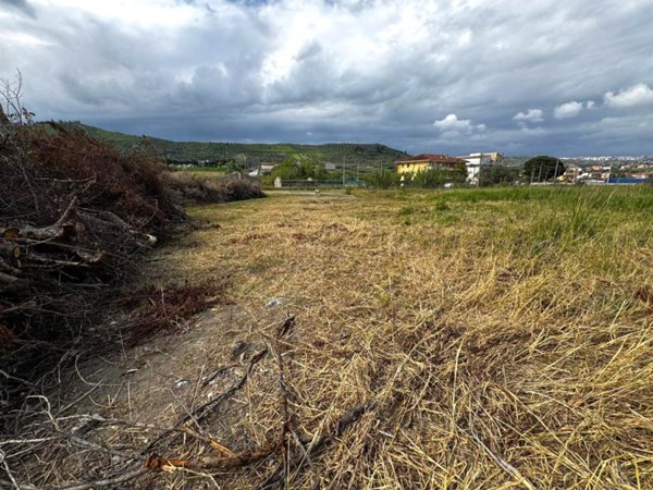 terreno agricolo in vendita a Settingiano in zona Martelletto