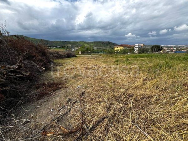 terreno agricolo in vendita a Settingiano in zona Martelletto
