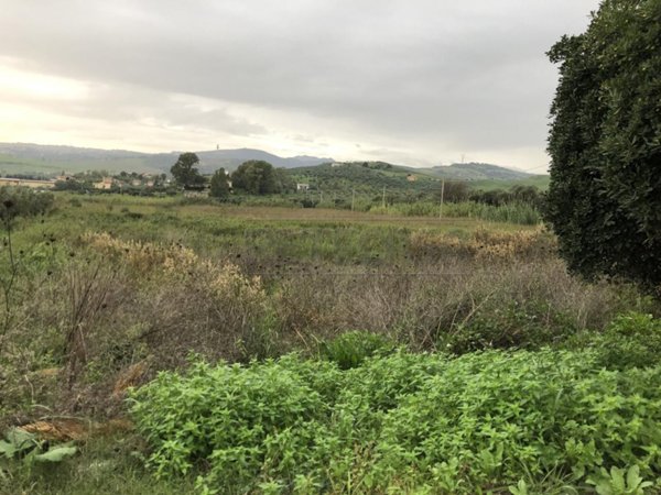 terreno agricolo in vendita a Simeri Crichi in zona Apostolello
