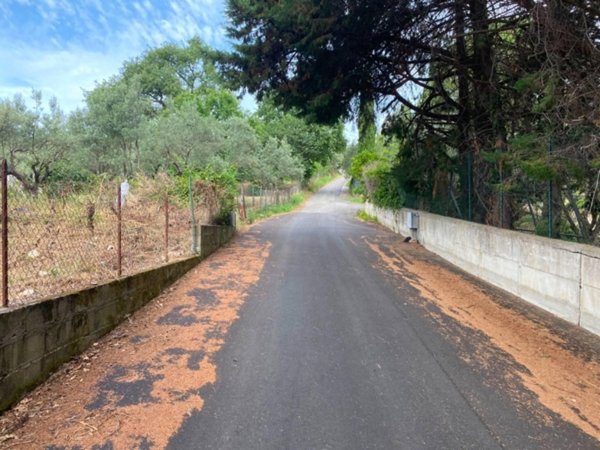 terreno agricolo in vendita a Simeri Crichi in zona Simeri