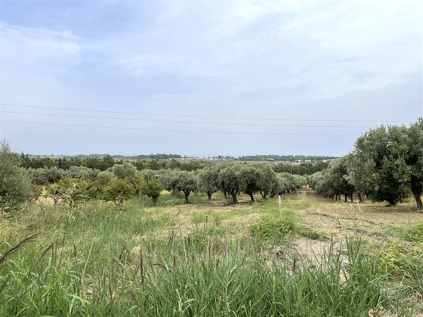 terreno agricolo in vendita a Simeri Crichi