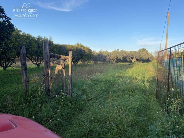 terreno agricolo in vendita a Simeri Crichi in zona Simeri Mare