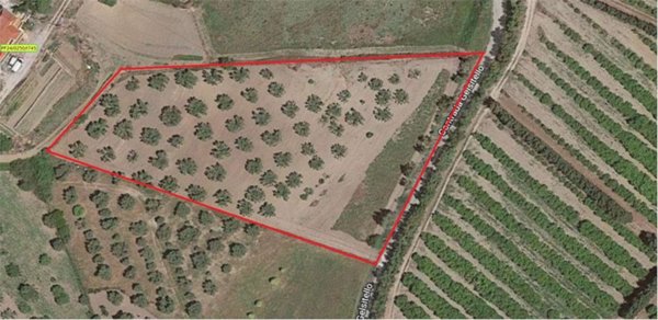 terreno agricolo in vendita a Simeri Crichi in zona Simeri Mare