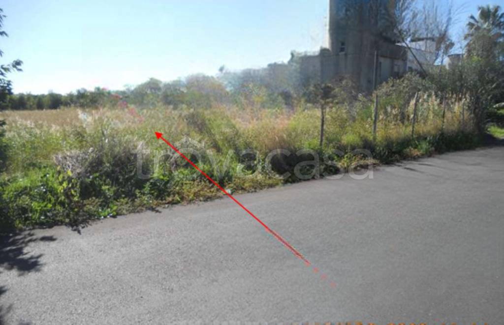 terreno agricolo in vendita a Simeri Crichi in zona Simeri