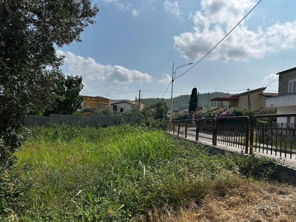 terreno agricolo in vendita a Simeri Crichi in zona Apostolello