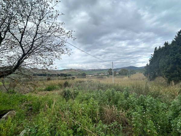 terreno agricolo in vendita a Simeri Crichi in zona Apostolello