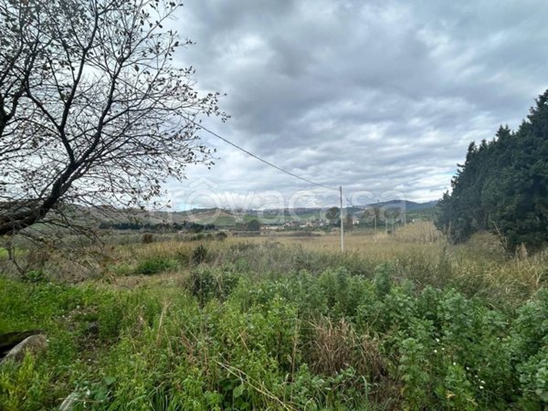terreno agricolo in vendita a Simeri Crichi in zona Apostolello