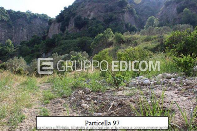 terreno agricolo in vendita a Simeri Crichi