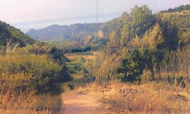 terreno agricolo in vendita a Simeri Crichi
