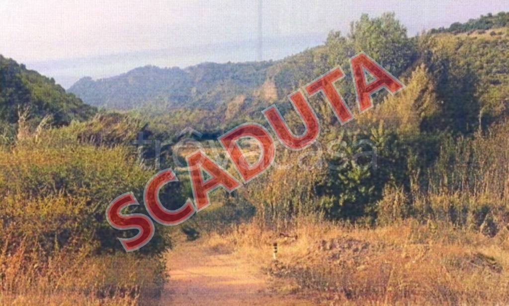 terreno agricolo in vendita a Simeri Crichi in zona Simeri