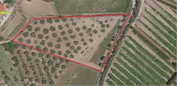 terreno agricolo in vendita a Simeri Crichi in zona Simeri