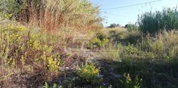 attico in vendita a Simeri Crichi in zona Apostolello