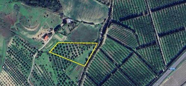 terreno agricolo in vendita a Simeri Crichi