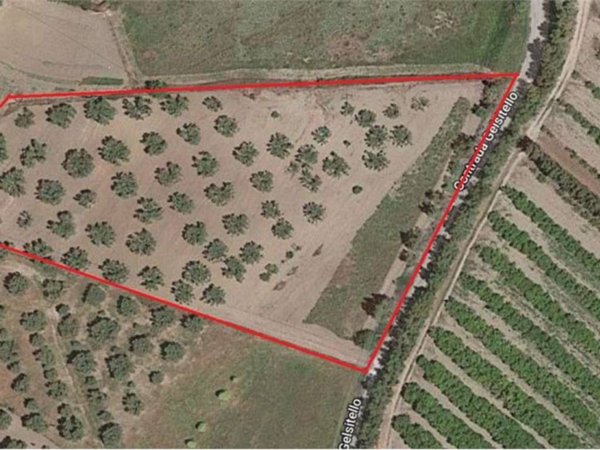 terreno agricolo in vendita a Simeri Crichi in zona Simeri Mare