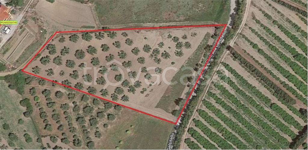 terreno agricolo in vendita a Simeri Crichi in zona Simeri