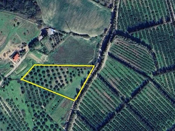 terreno agricolo in vendita a Simeri Crichi