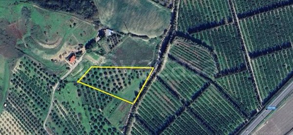 terreno agricolo in vendita a Simeri Crichi