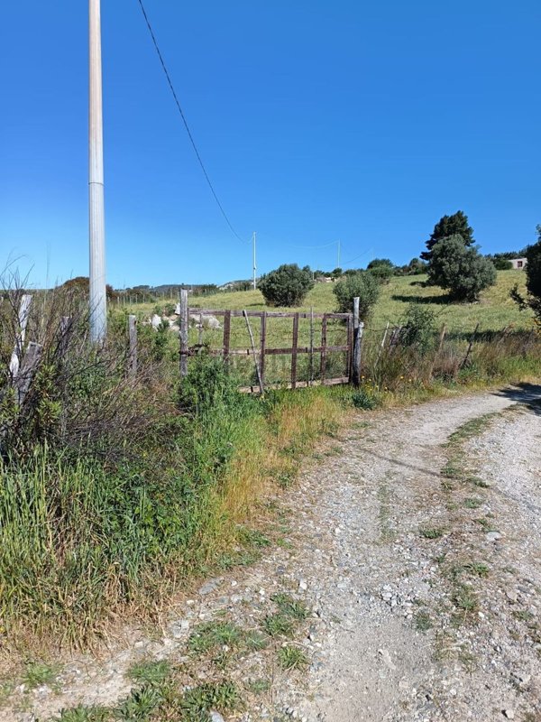 terreno agricolo in vendita a Simeri Crichi
