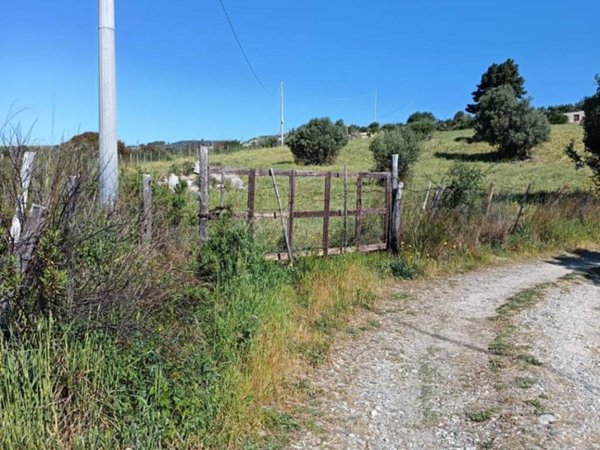 terreno agricolo in vendita a Simeri Crichi in zona Apostolello