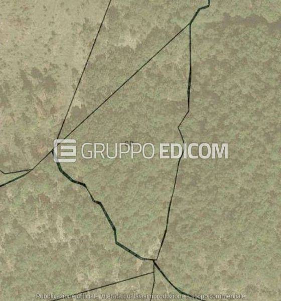 appartamento in vendita a Sorbo San Basile