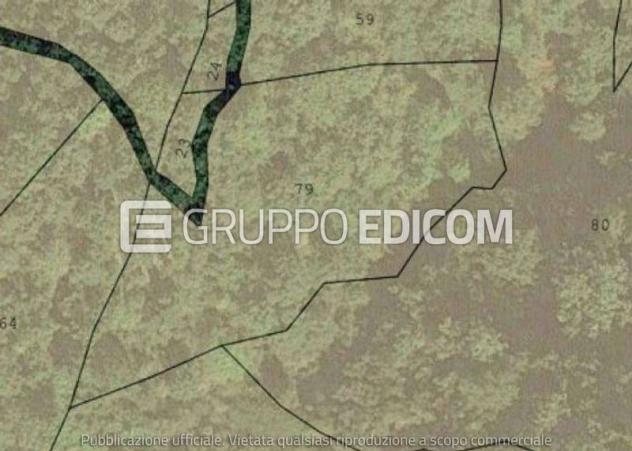 terreno agricolo in vendita a Sorbo San Basile