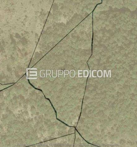 terreno agricolo in vendita a Sorbo San Basile